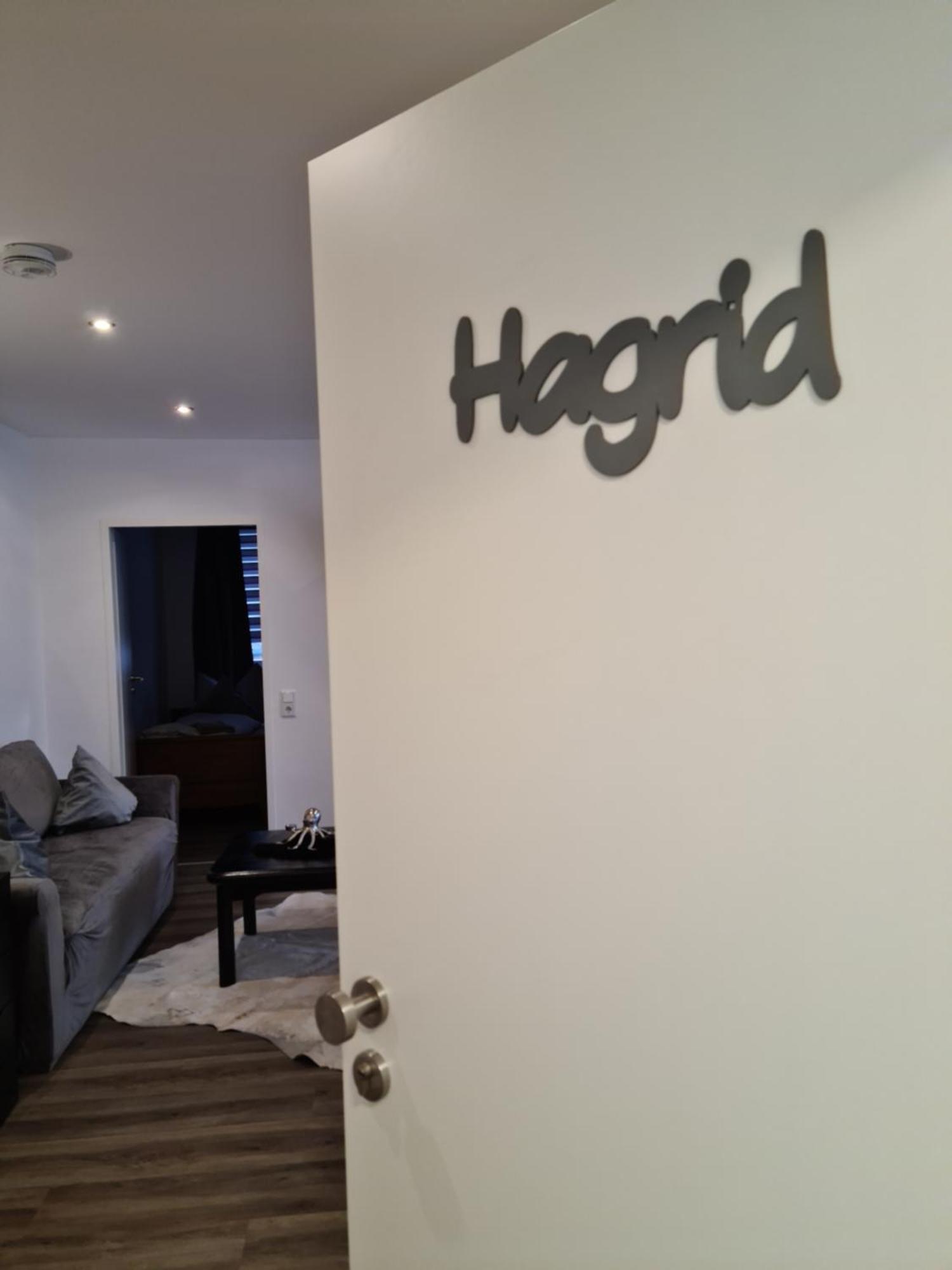 Pilgrims "Hagrid" 2 Sz, Balkon, Kueche, Bad, Top Wifi ブリーロン エクステリア 写真